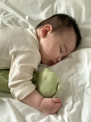 MONOLEIM 柔軟親膚龍寶寶安撫巾 Organic Hug Dino