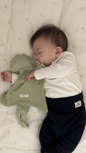 MONOLEIM 柔軟親膚龍寶寶安撫巾 Organic Hug Dino